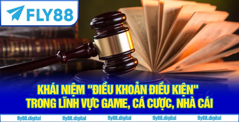 Khái niệm "điều khoản điều kiện" trong lĩnh vực game, cá cược, nhà cái