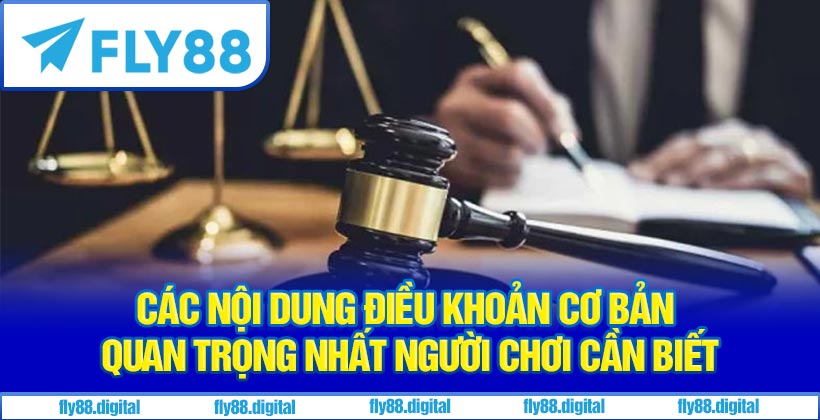Các Nội Dung Điều Khoản Cơ Bản Quan Trọng Nhất Người Chơi Cần Biết